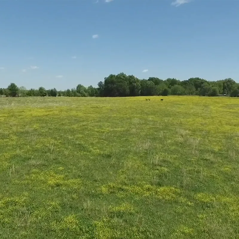 B&G Land Co. Tract #2, photo 1
