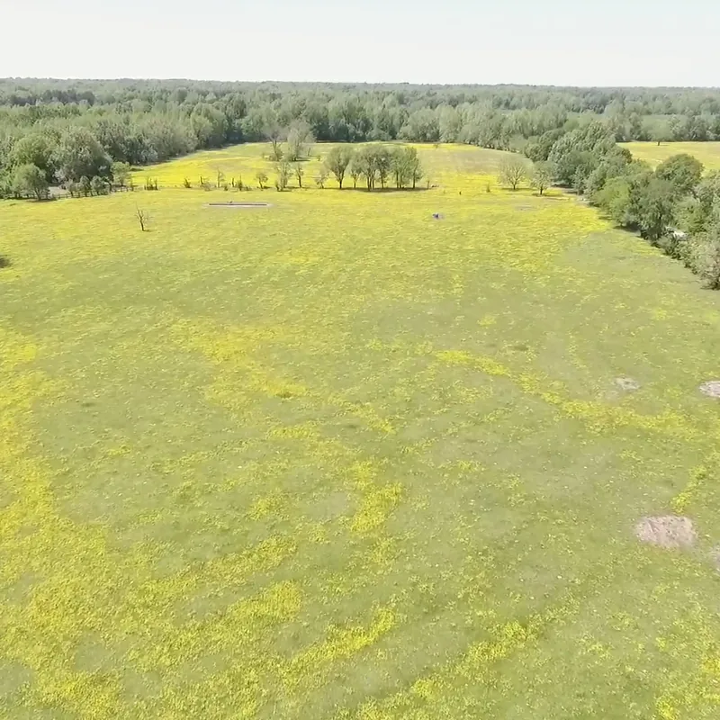 B&G Land Co. Tract #3, photo 1